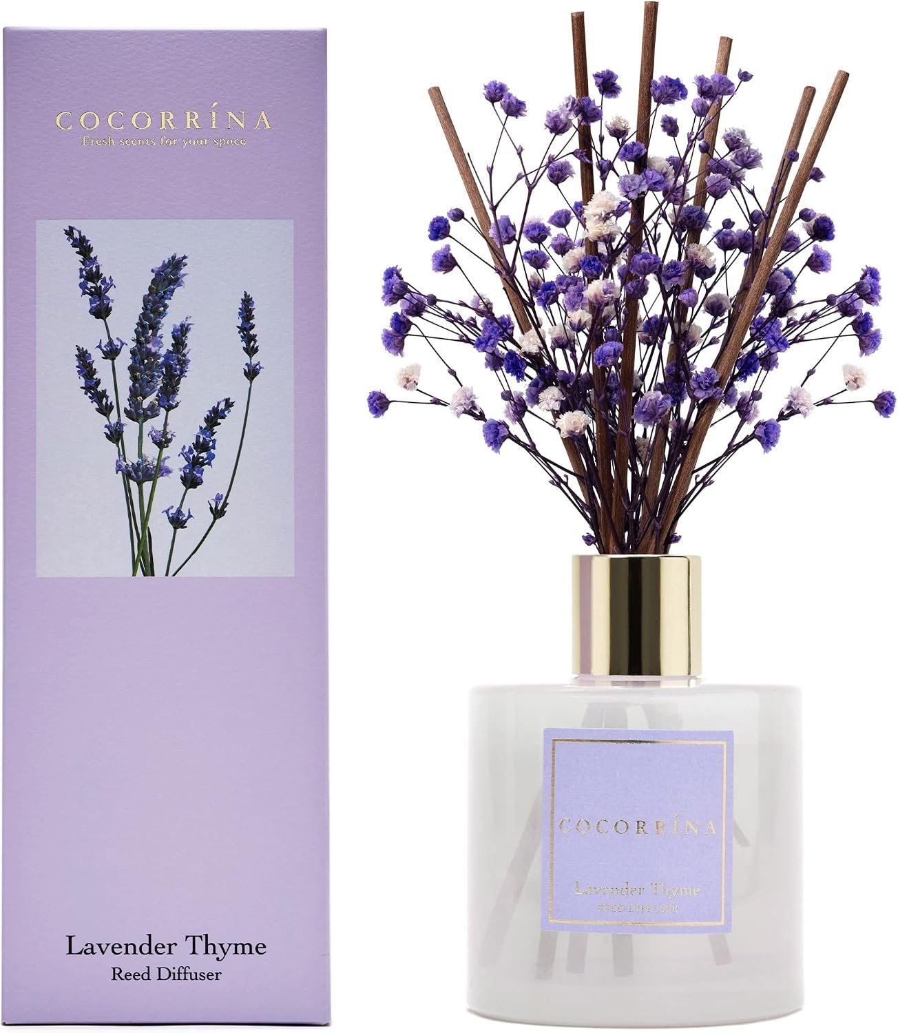 Cocorrína Premium Reed Diffuser Set with Preserved Baby’s Breath & Cotton Stick Lavender Thyme | 6.76 Fl.oz Scent Diffuser for Bedroom Bathroom Home Décor